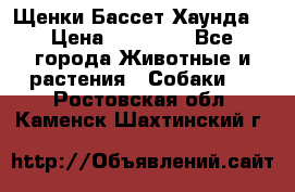 Щенки Бассет Хаунда  › Цена ­ 25 000 - Все города Животные и растения » Собаки   . Ростовская обл.,Каменск-Шахтинский г.
